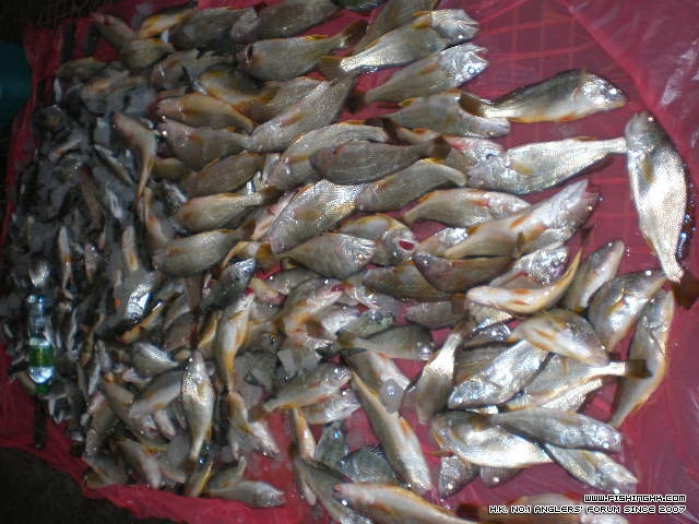 PC120016.JPG