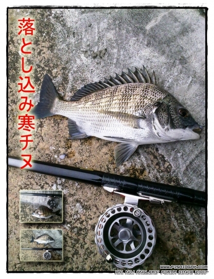 201112171283 copy.jpg