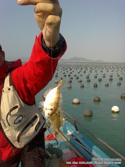 后門2 004.jpg