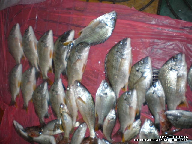 PC290074.JPG