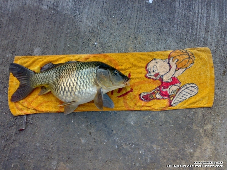 20111229579.jpg