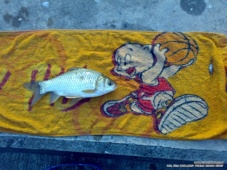 20111229581.jpg