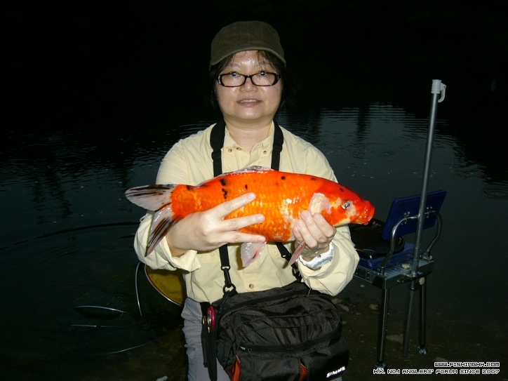 我下次一定會釣到你,錦鯉.上年11月中影.