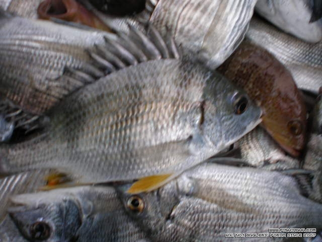 P1250180.JPG