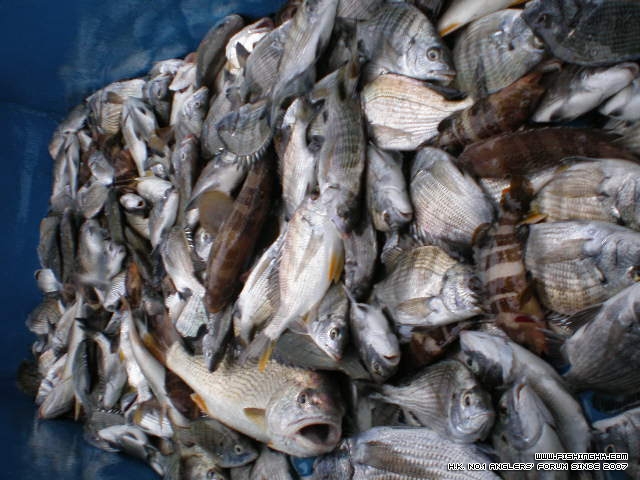 P1250179.JPG