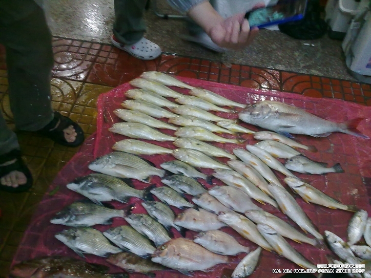 20120206074.jpg