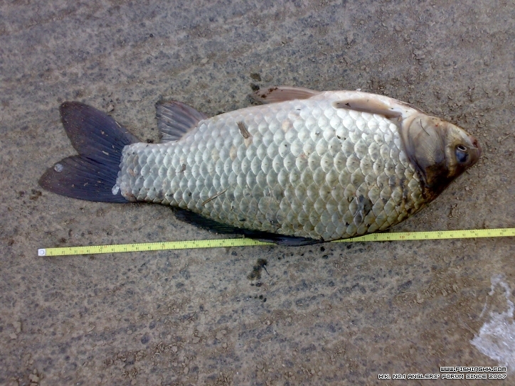 20120212672.jpg