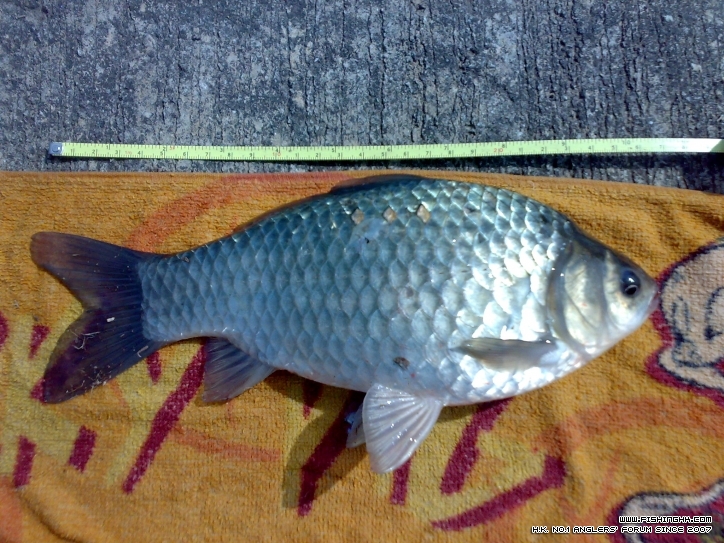 20120212673.jpg
