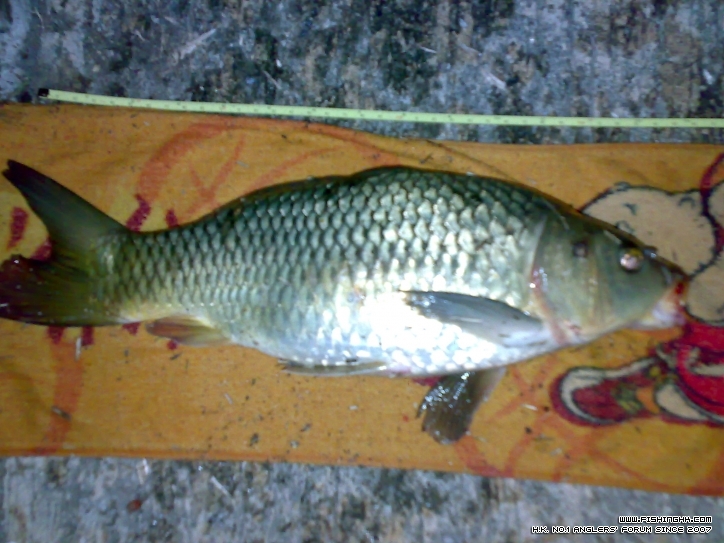 20120212676.jpg