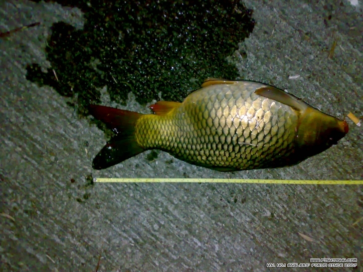 20120212680.jpg