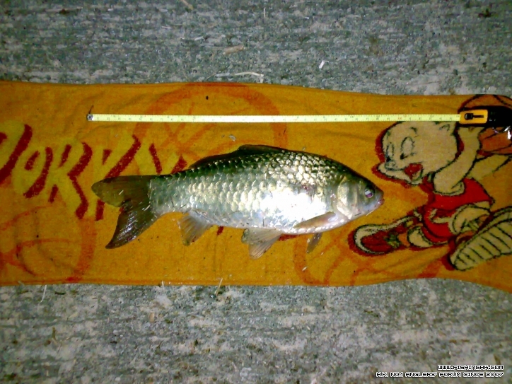 20120212689.jpg