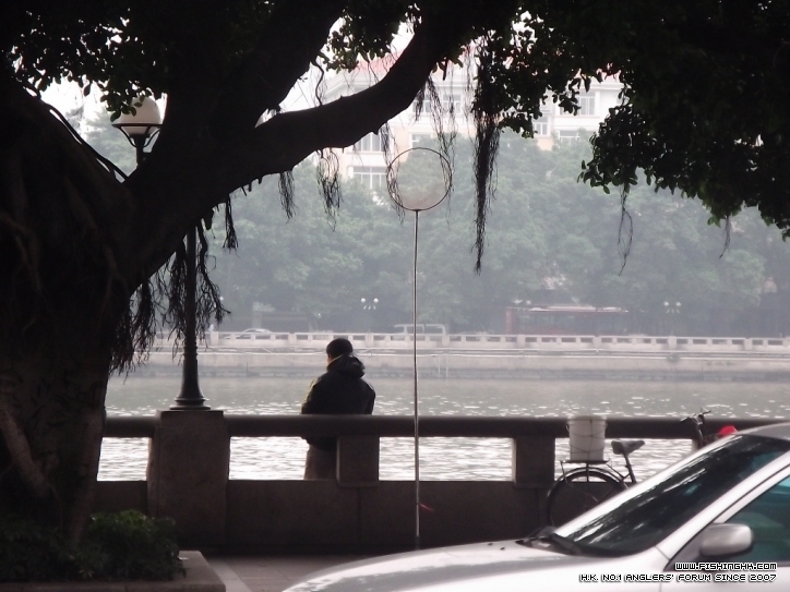 DSCF2447.JPG