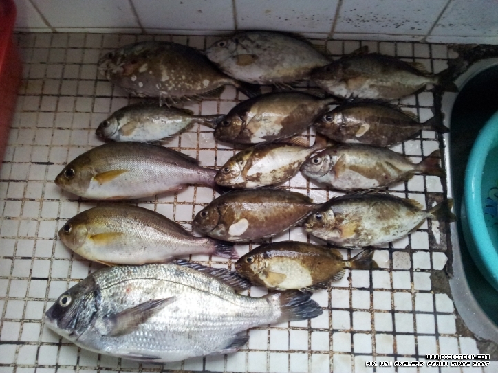 20120404_181553.jpg