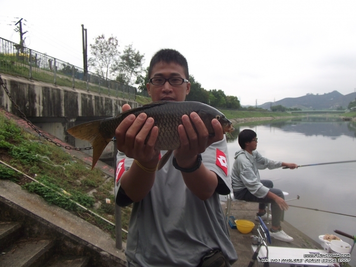 DSCF3071.JPG