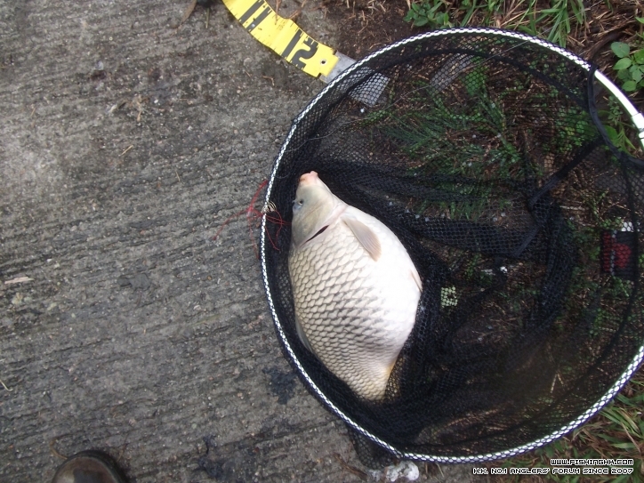DSCF3075.JPG