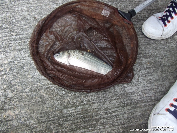 DSCF3141.JPG