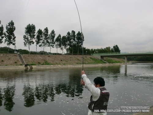 20120227_567c9ee5e5c2988367f2ipn0NWjpYIdD.jpg
