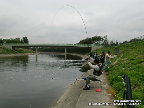 20120227_cc3800a542c553e42738rIgDpQdTV9nG.jpg