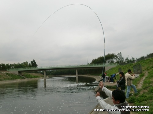 20120227_dc410baa94820924b307vFioDRP68qDB.jpg