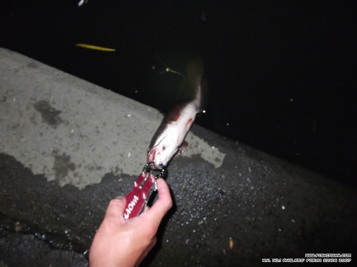 DSCF3199.JPG
