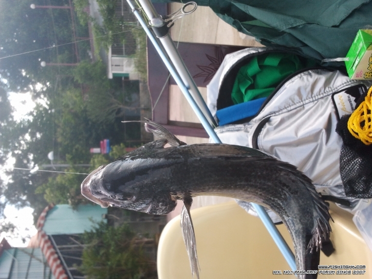 2012-04-24 09.10.59.jpg
