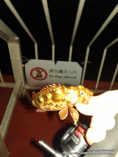 IMAG0169 (Medium).jpg