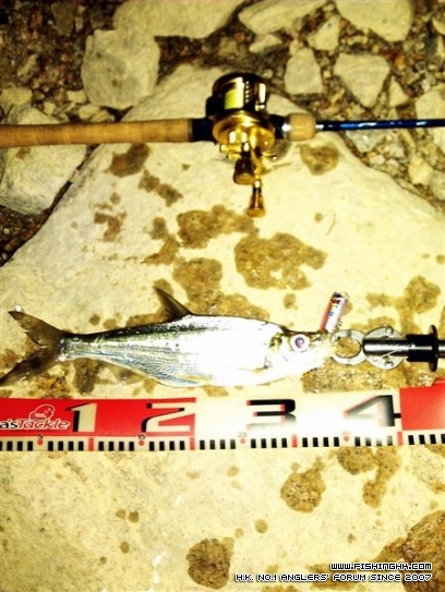 IMAG0478-1 (Medium).jpg