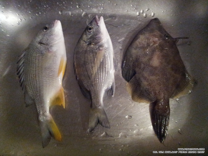 20120428_003845.jpg