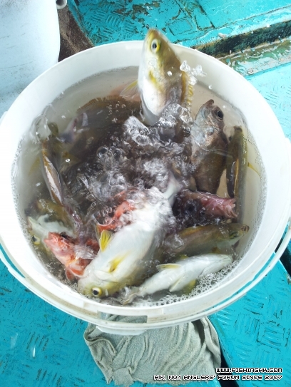 20120430_122733.jpg
