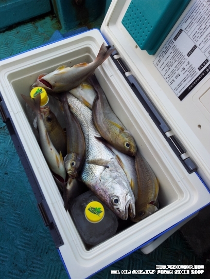 20120430_164943.jpg