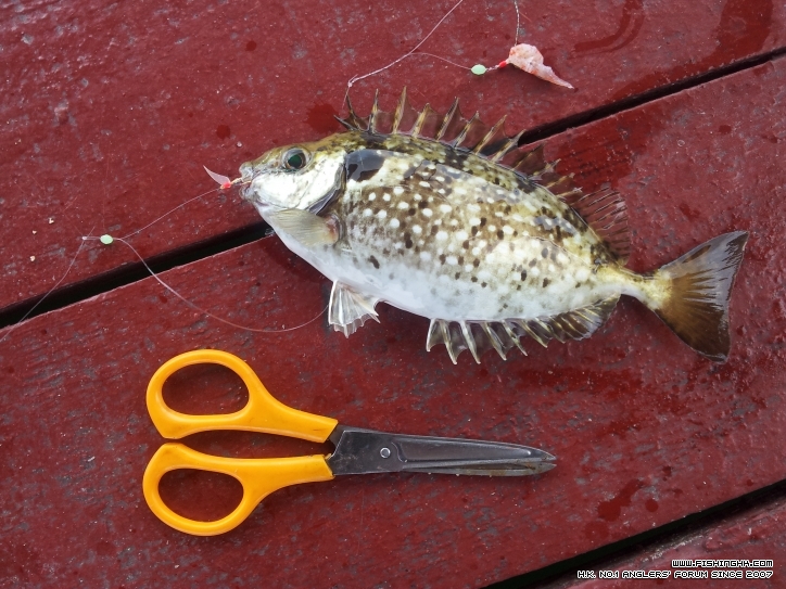 20120502_111751.jpg