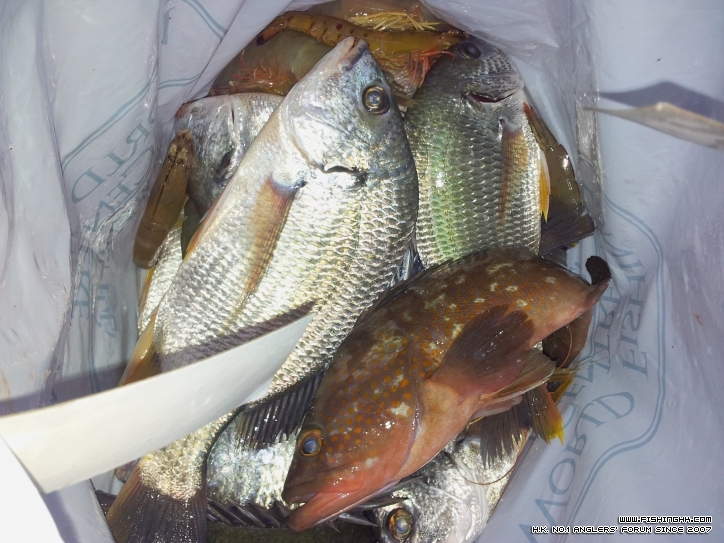 20120430_182521.jpg