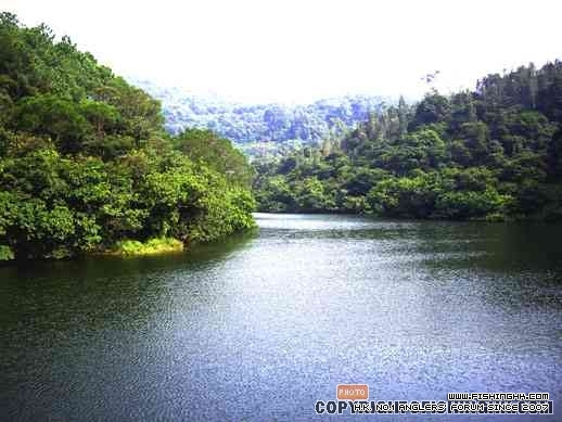 鶴藪水塘 02.jpg