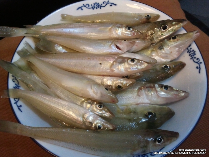 2012-05-20 20.38.57.jpg