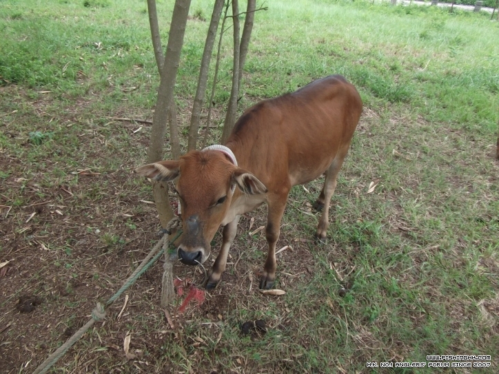 DSCF3700.JPG