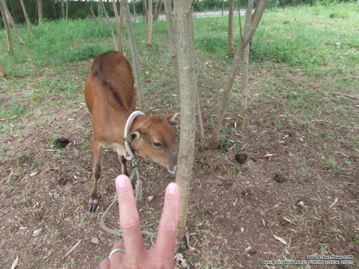 DSCF3702.JPG