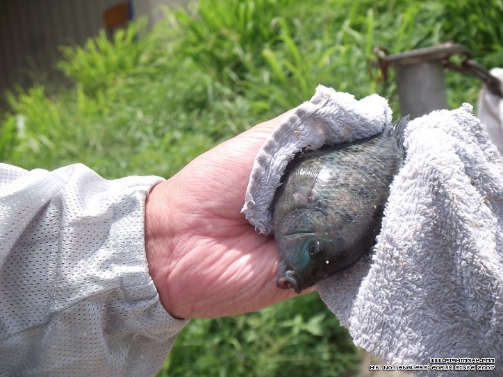 DSCF3706.JPG