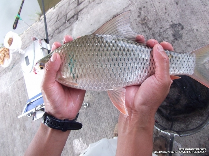 DSCF3715.JPG