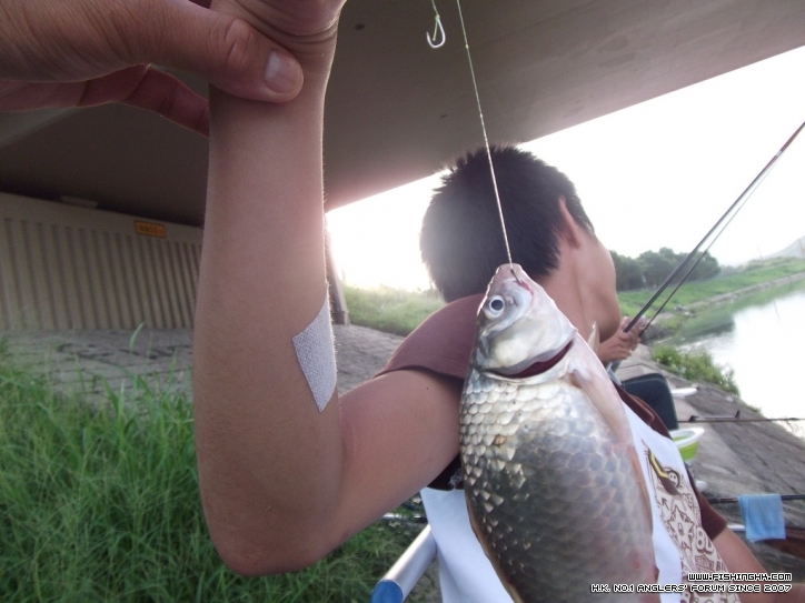 DSCF3725.JPG