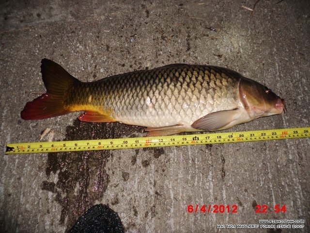 CIMG0735 (640x480).jpg