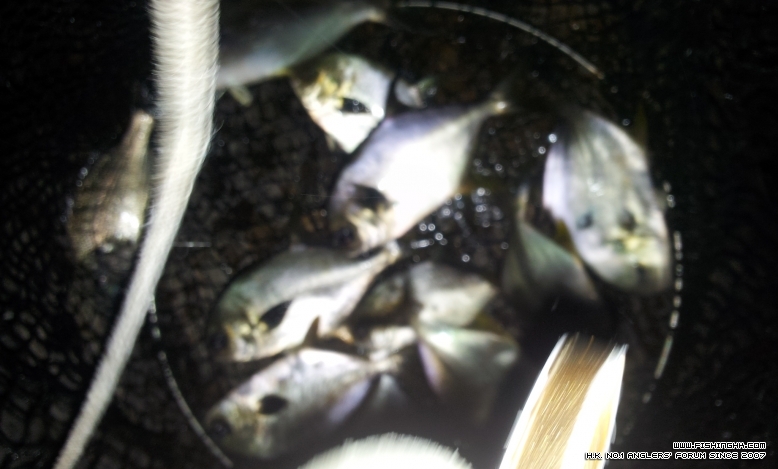 20120610_045946.jpg