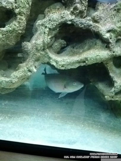 CYMERA_20120610_193314.jpg