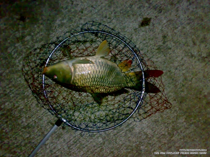 20120610980.jpg