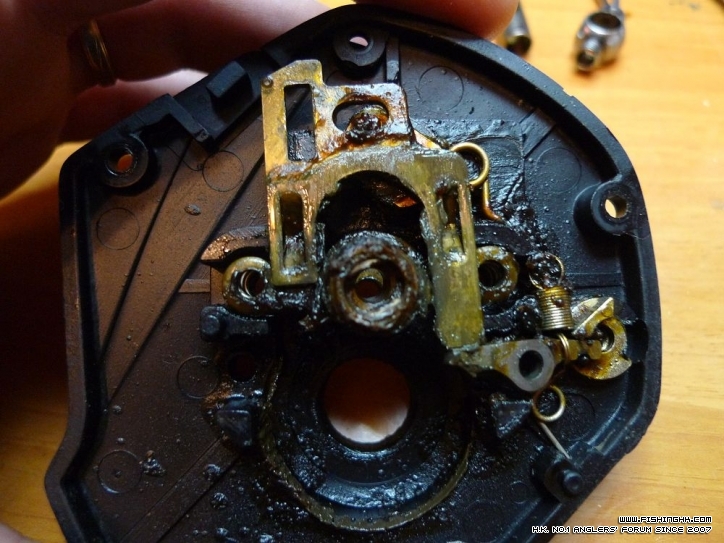 P2 (24).jpg
