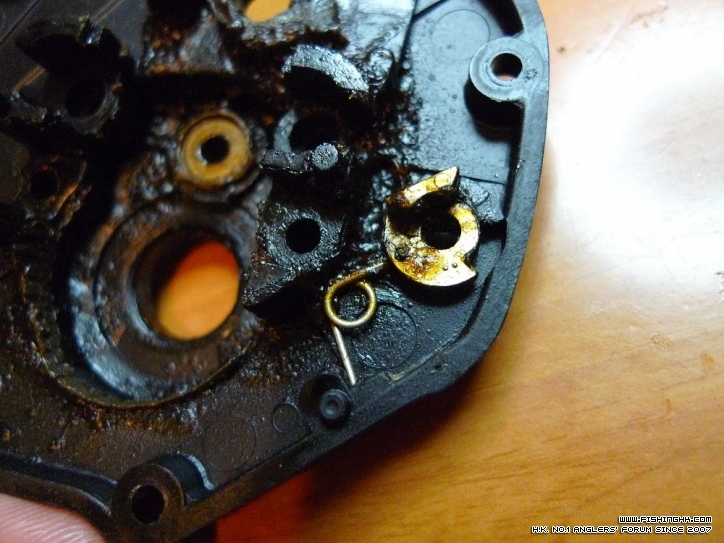 P2 (37).jpg