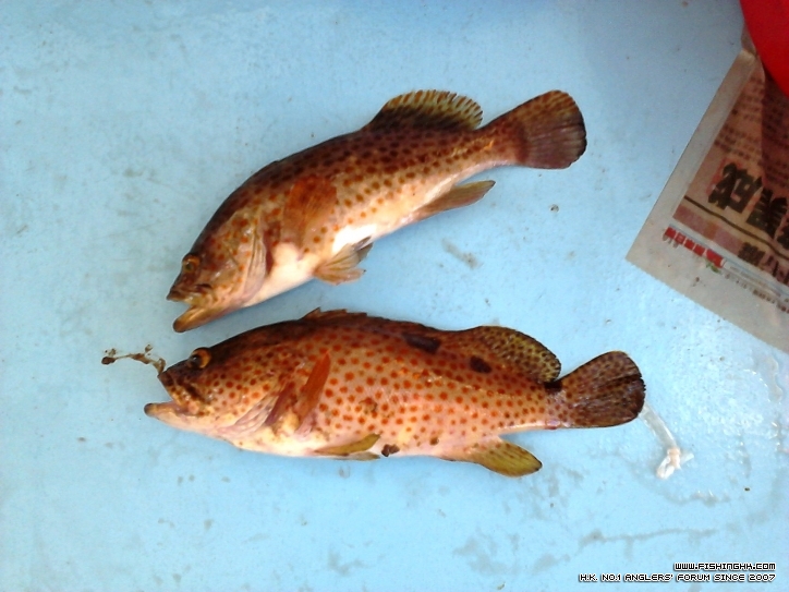 P240811_17.03.jpg