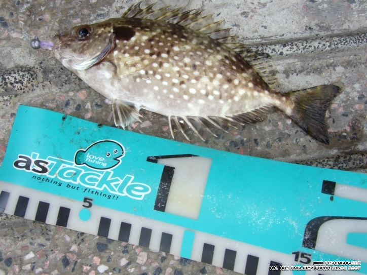 2011-09-01 05.16.59.jpg