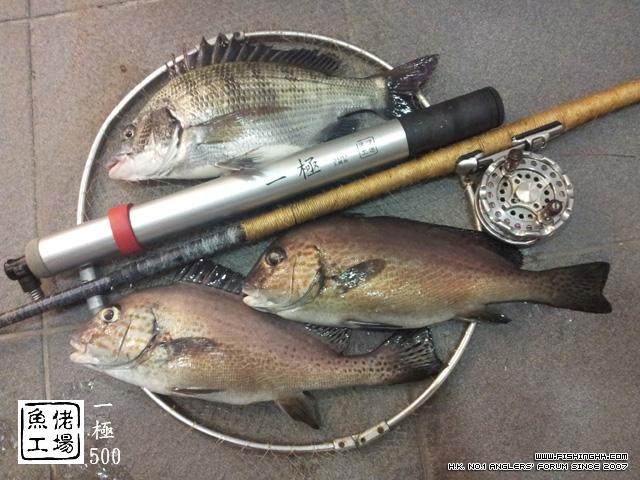 複製 -20120718_045120.jpg