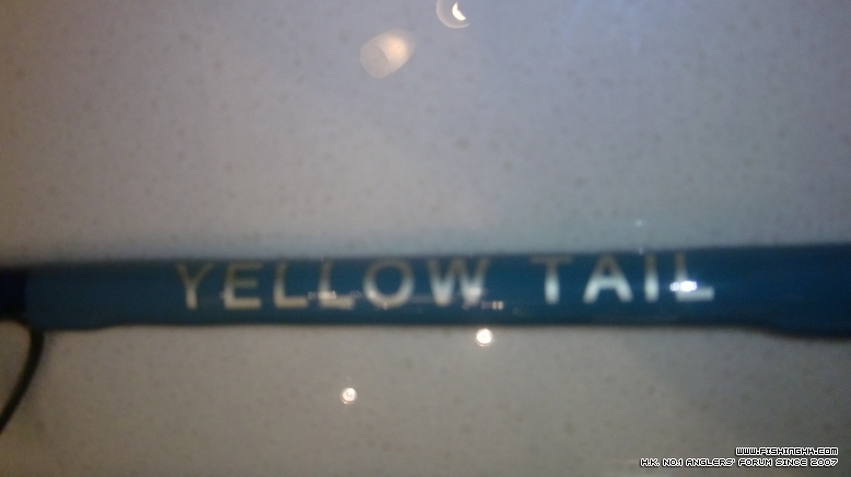 yellow tail.JPG