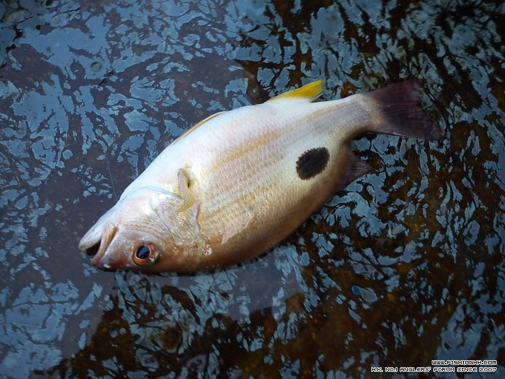我都有條唔細嘅火點手板大嘅